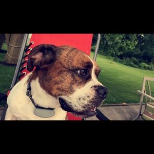 Meet your Posher, Jolee